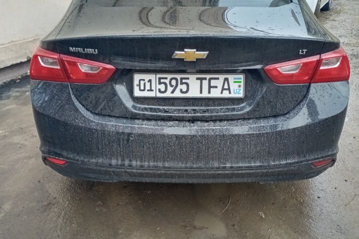 MALIBU 2 д.р.:01/595/TFA