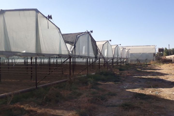 Парник (Ahmadjons corporation MCHJ)