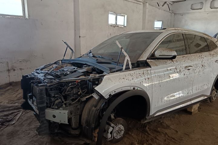 Byd song plus д.р.:90/563/MBA