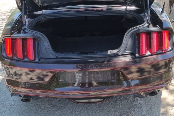 Кузов (ФОРД МУСТАНГ)